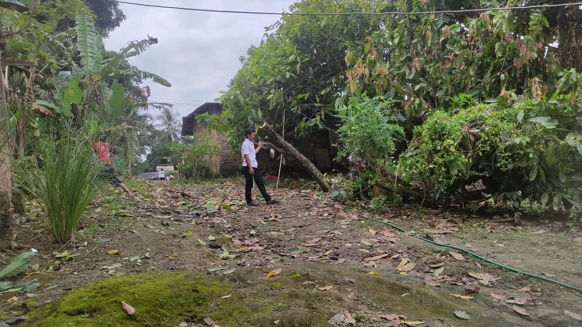 Angin Kencang Landa Jati Agung