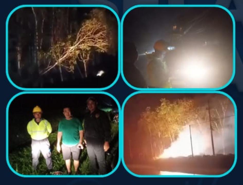 Pohon tumbang timpa kabel PLN di Tanjung Bintang