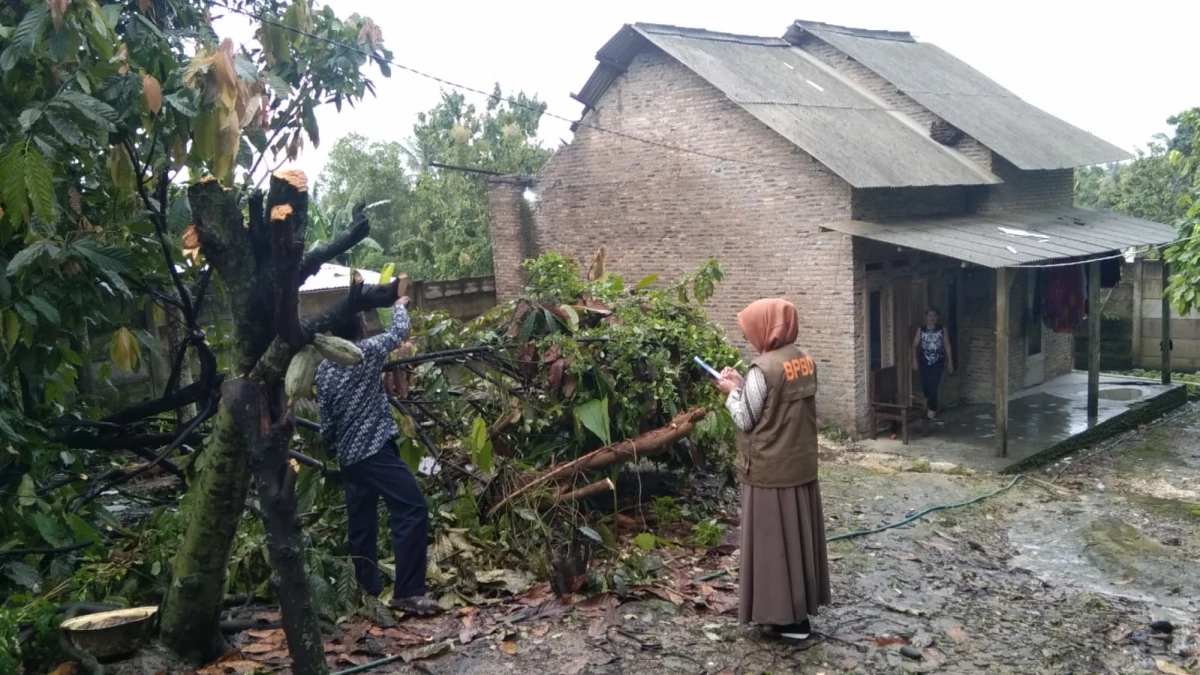 BPBD Lampung Selatan Bergerak Cepat Lakukan Identifikasi dan Inventarisasi Kerusakan